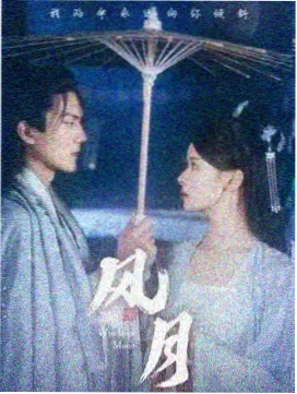 红桃视频 双生回声 剧集海报